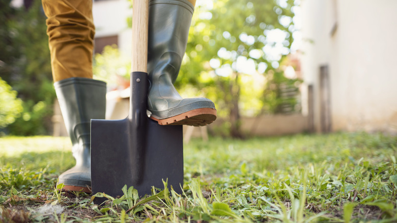 Person with boots root pruning