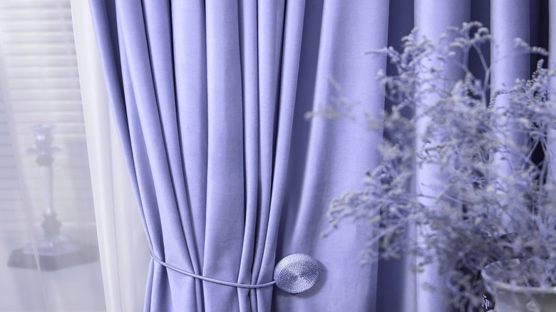 purple curtain