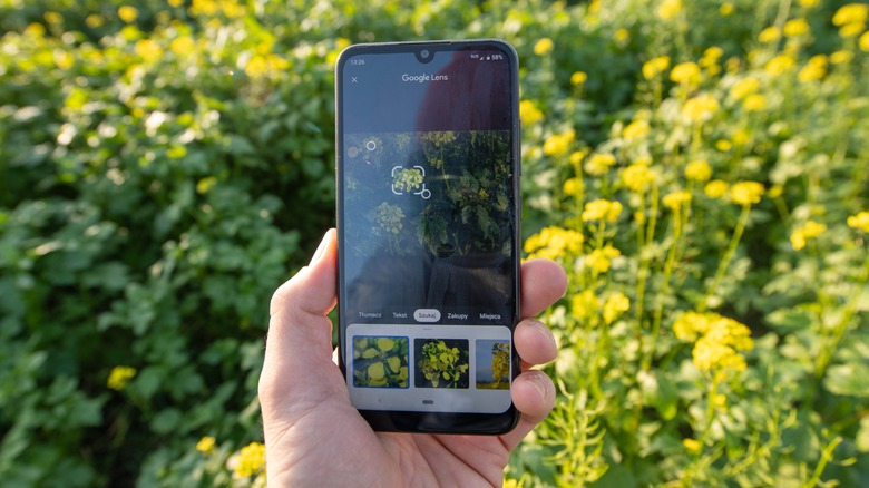 using phone to identify plants