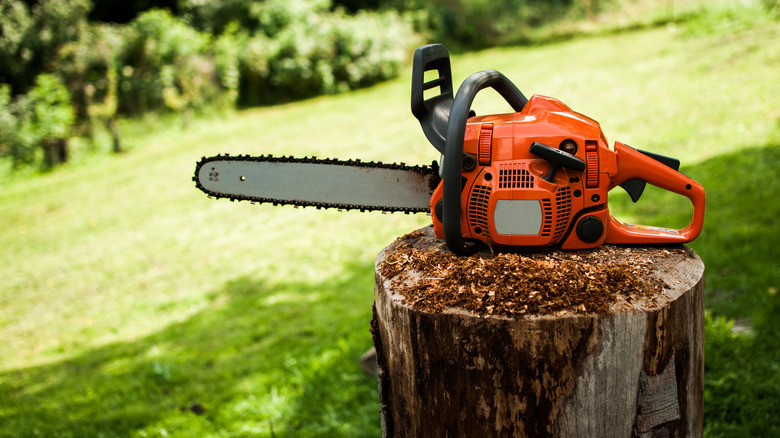 tree stump and chainsaw 