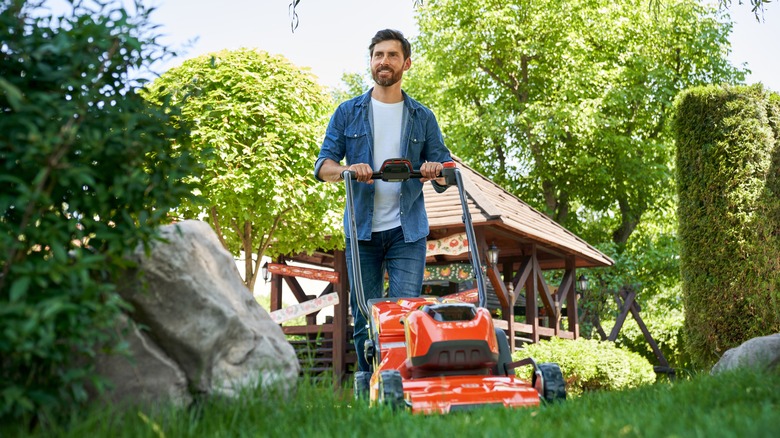 Man mowing lawn