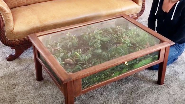 terrarium coffee table