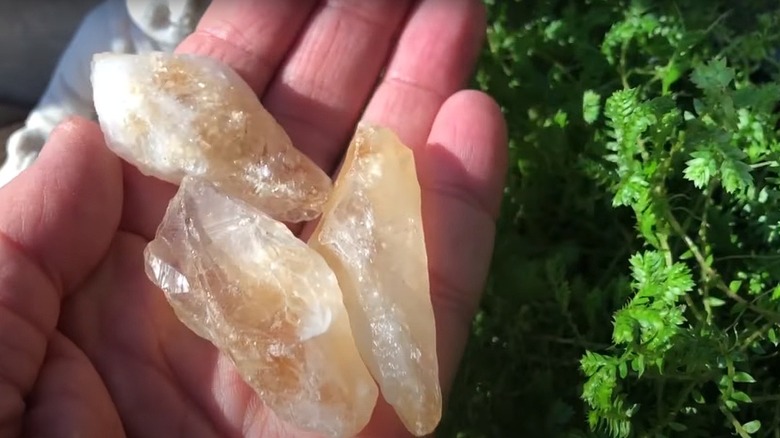 Holding crystals near garden