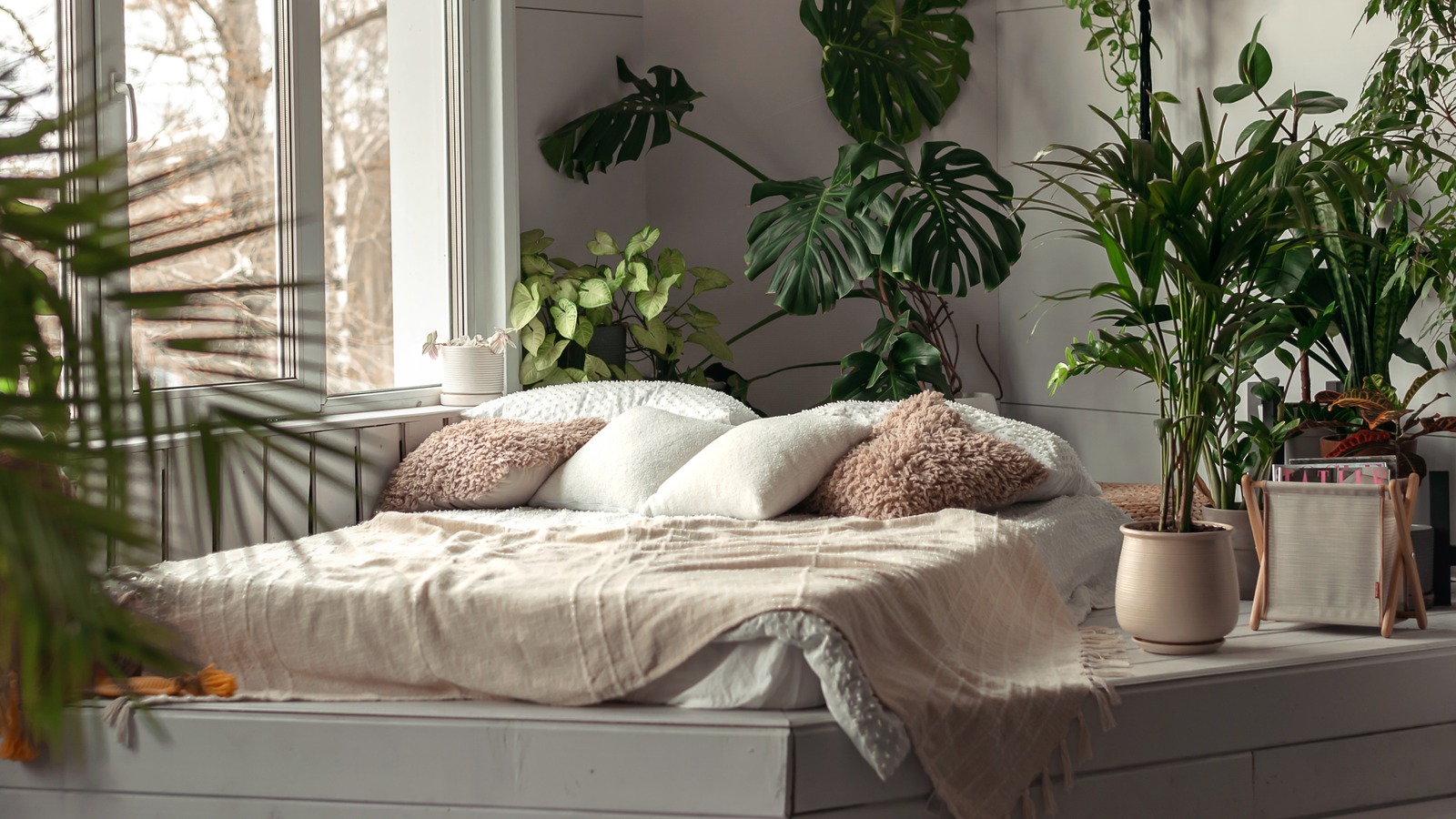 How To Incorporate Indoor Foliage In Your Home Décor