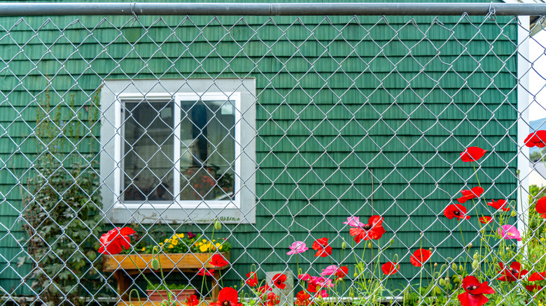 Chain link fence green home