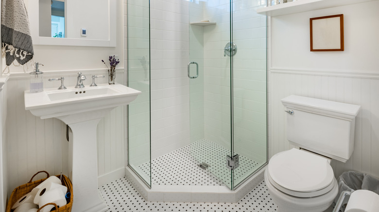 bathroom with pedestal sink