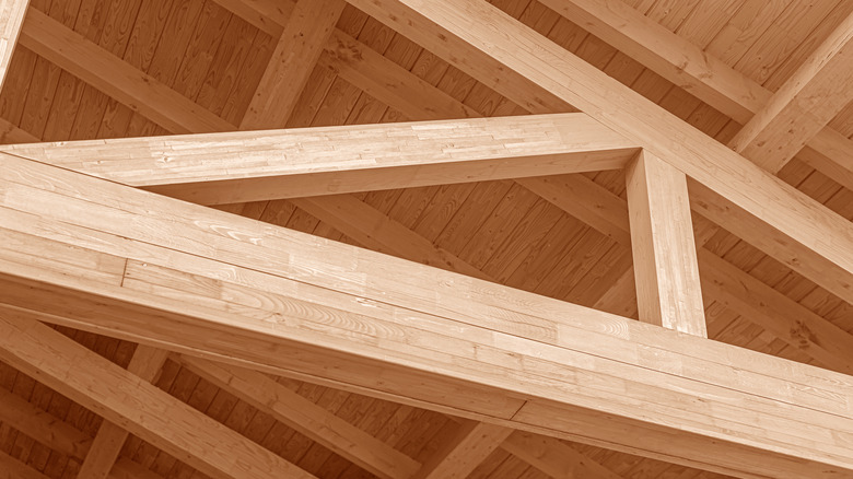 Ceiling joist