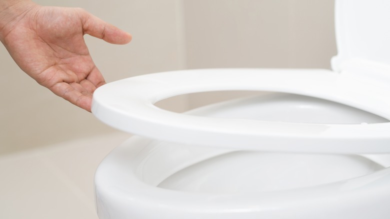 how-much-does-it-cost-to-install-a-toilet-best-modern-toilet