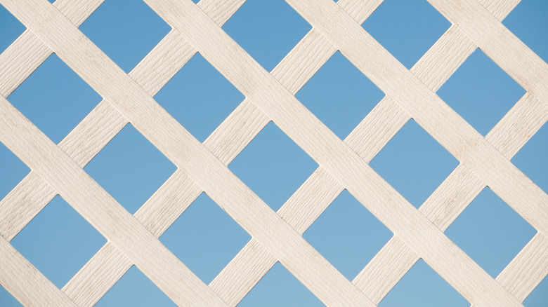 lattice privacy screen panel