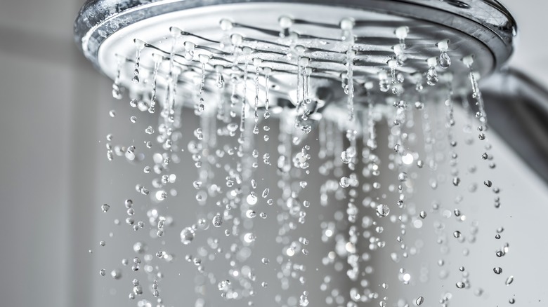 Rain shower head