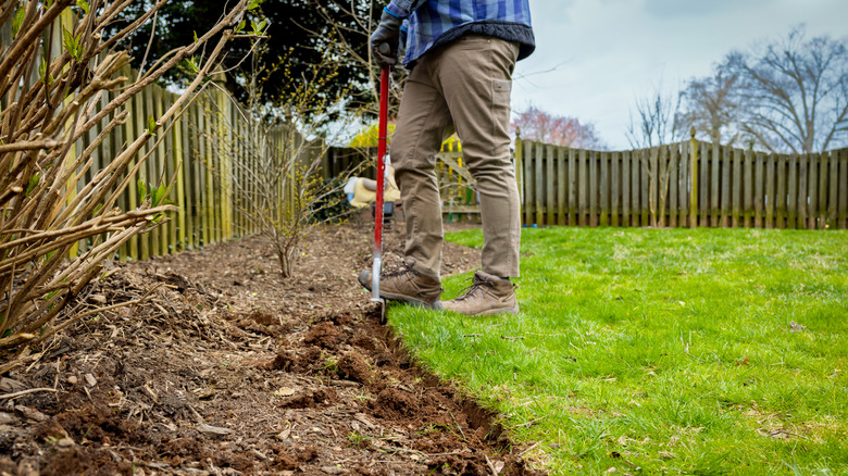 Gardener digging garden bed edge