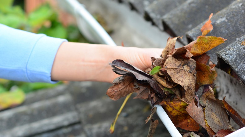 Cleaning gutters before installing guards