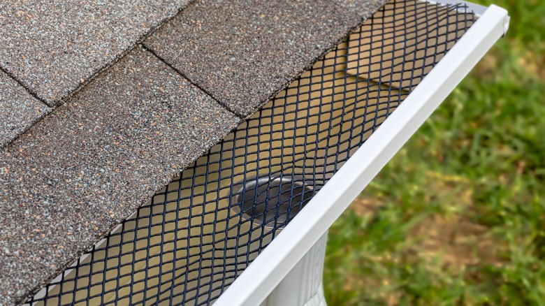 Gutter guard screen