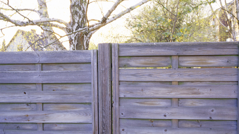 Wood fence panels against trees