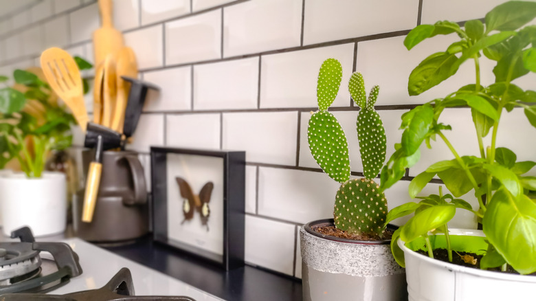 Subway tile behind stove