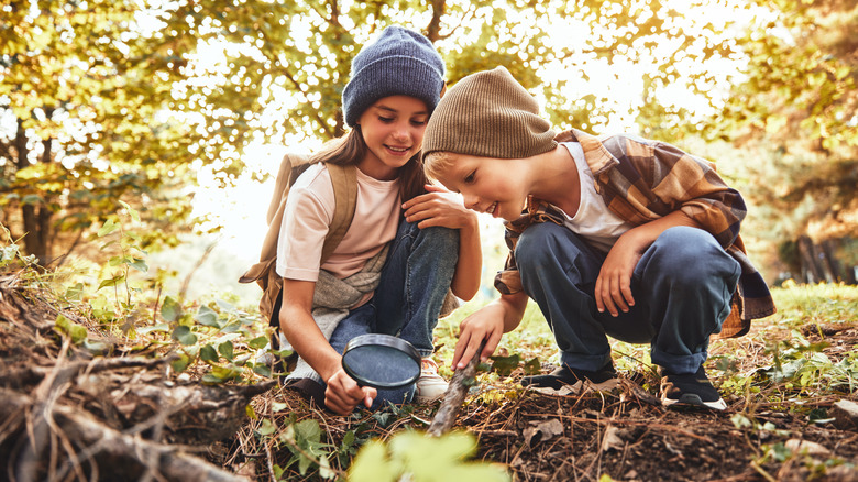 Two children looking at forest floor