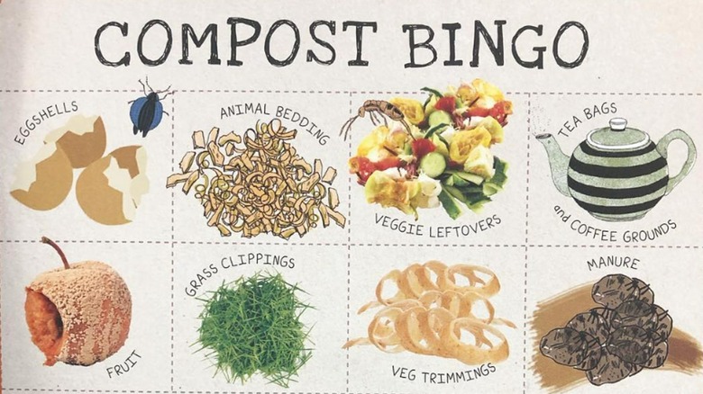 Compostable items bingo card