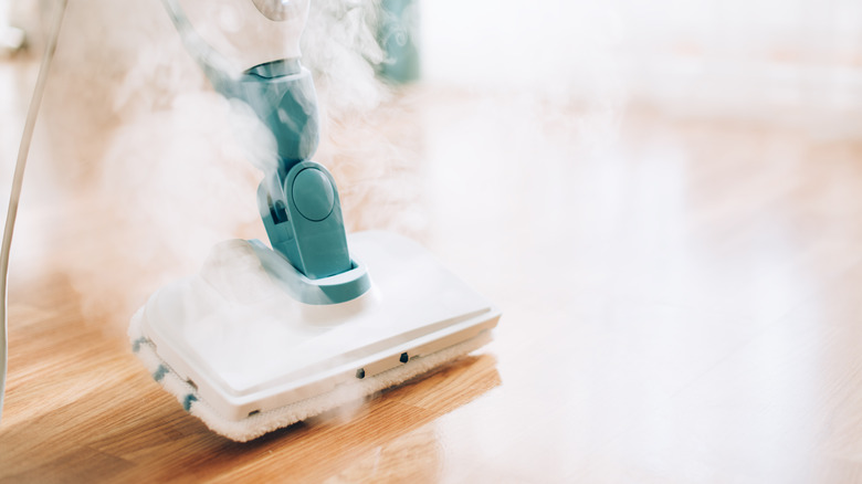 Steam cleaner on bamboo floor