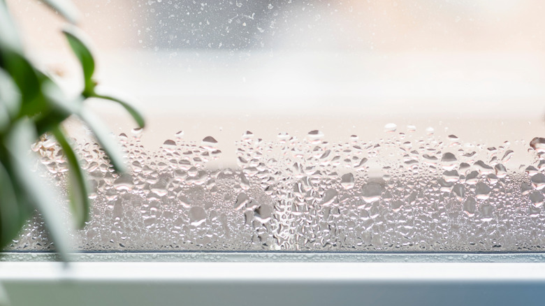Condensation on windows from humidity