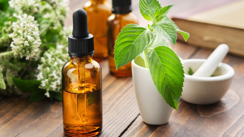 peppermint essential oil and leaves