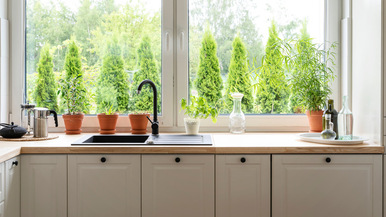 Sunny kitchen sink with butcher block counter