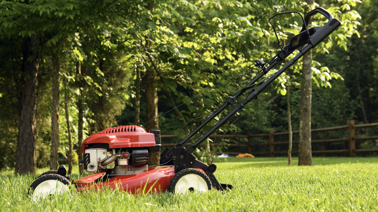 mowing lawn