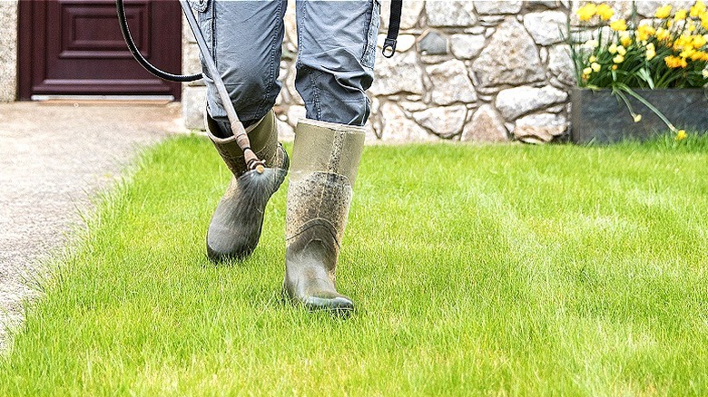 Person in boots spraying lawn