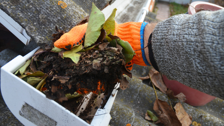 Clearing out the gutters