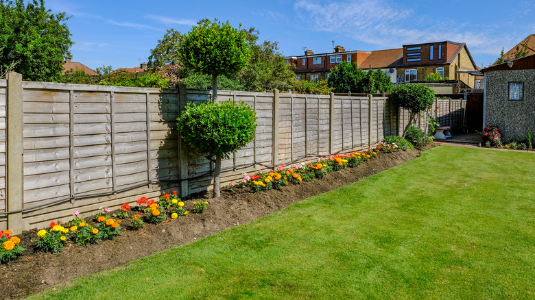 Fence in yard