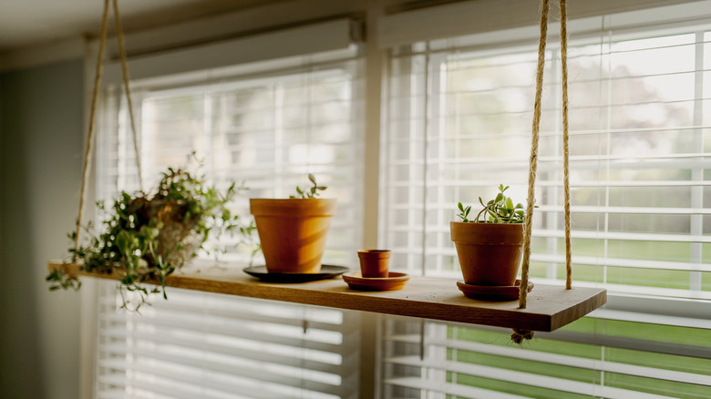 hanging rope shelf in window with plants