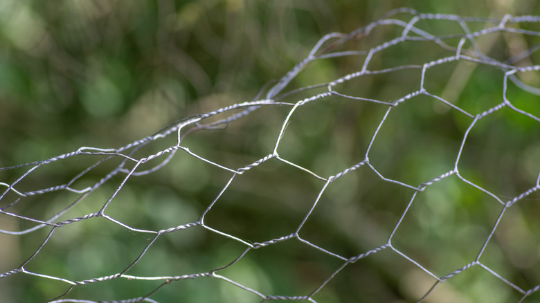 chicken wire