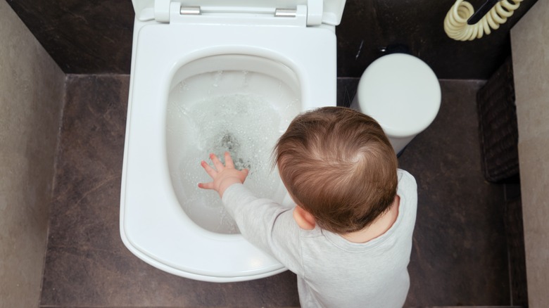 Toddler playing with toilet 