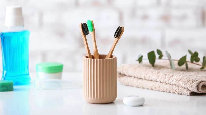 Toothbrush holder with toothbrushes 