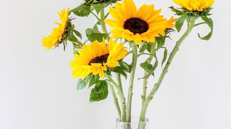 Bright yellow flowers in vase