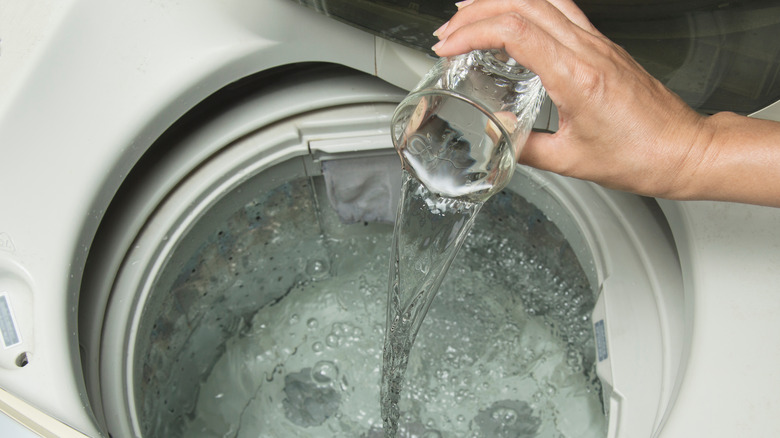 Person pouring vinegar in washer