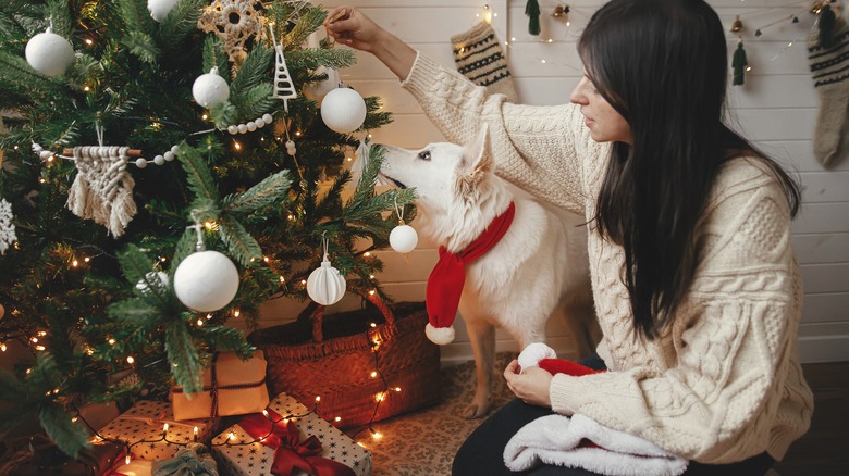 woman with dog decorating 