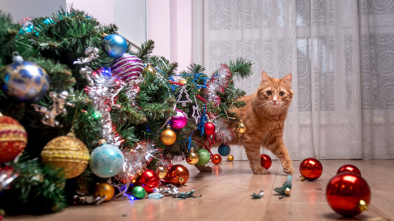 Cat beside fallen Christmas tree