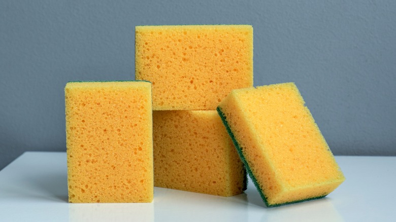 four yellow and green sponges