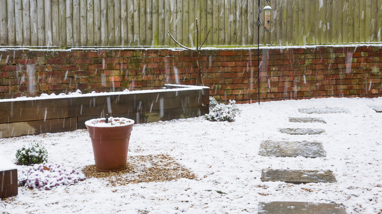 Snow covered yard 