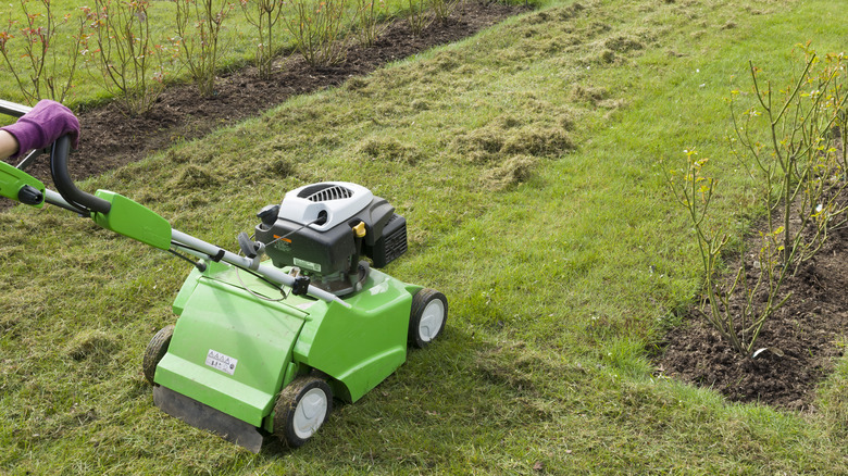 Person aerating yard