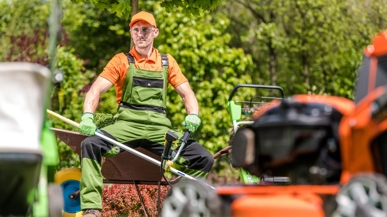 landscaper working in the yard