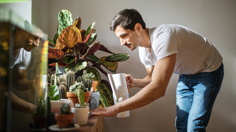 Brunette man watering plants with a white pitcher