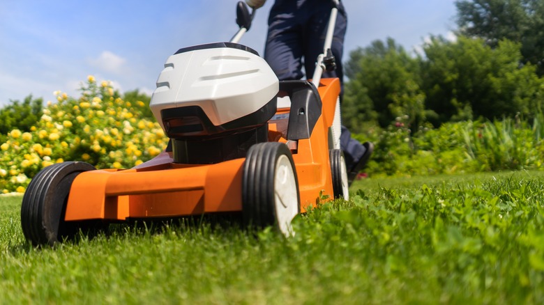 Person mowing lawn