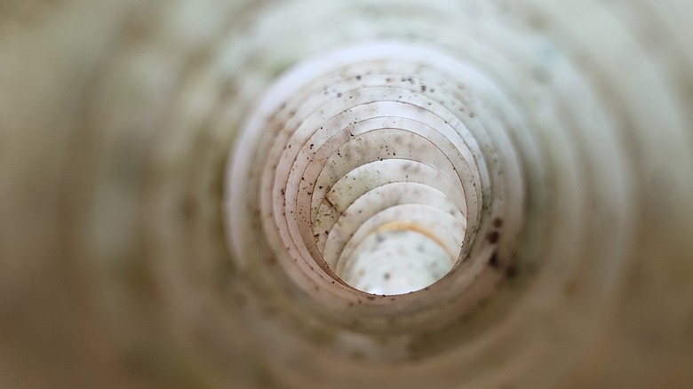 Inside a dryer vent