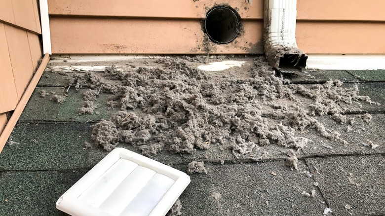 Dryer vent debris on roof