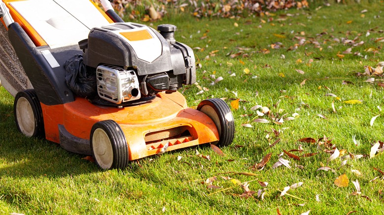 mowing lawn in fall