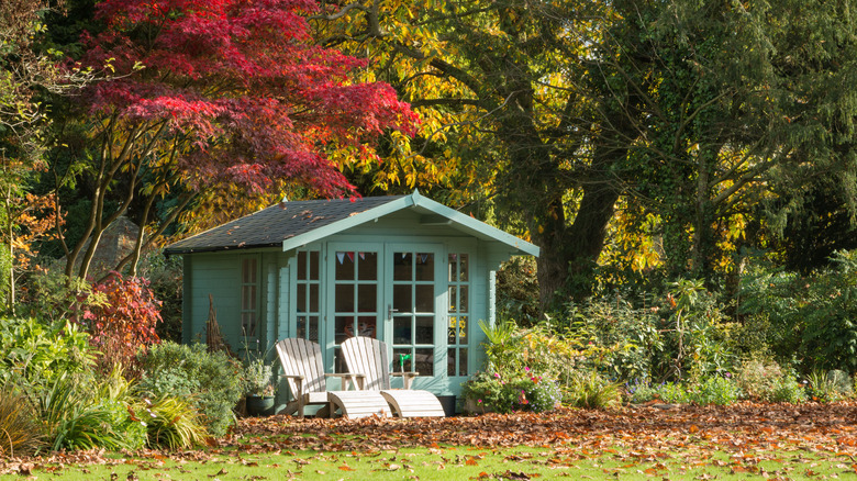 lawn covered in leaves