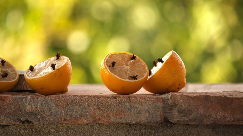 Lemons with clove 