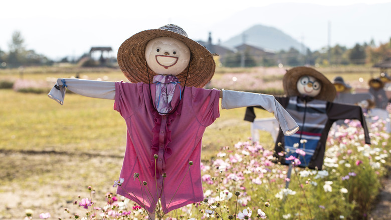 scarecrow in hat in field