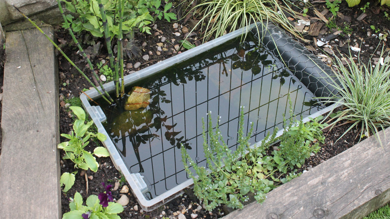 DIY pond with small container